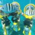 Z Punta Cana: ScubaDoo, šnorchl a výlet lodí se skleněným dnem — Guided tour and outdoor activity