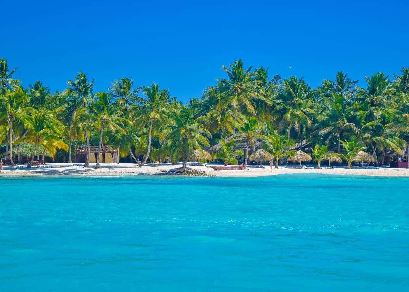 Saona Island Travel Insurance: What to Check Before You Book - Samaná Tours Guide