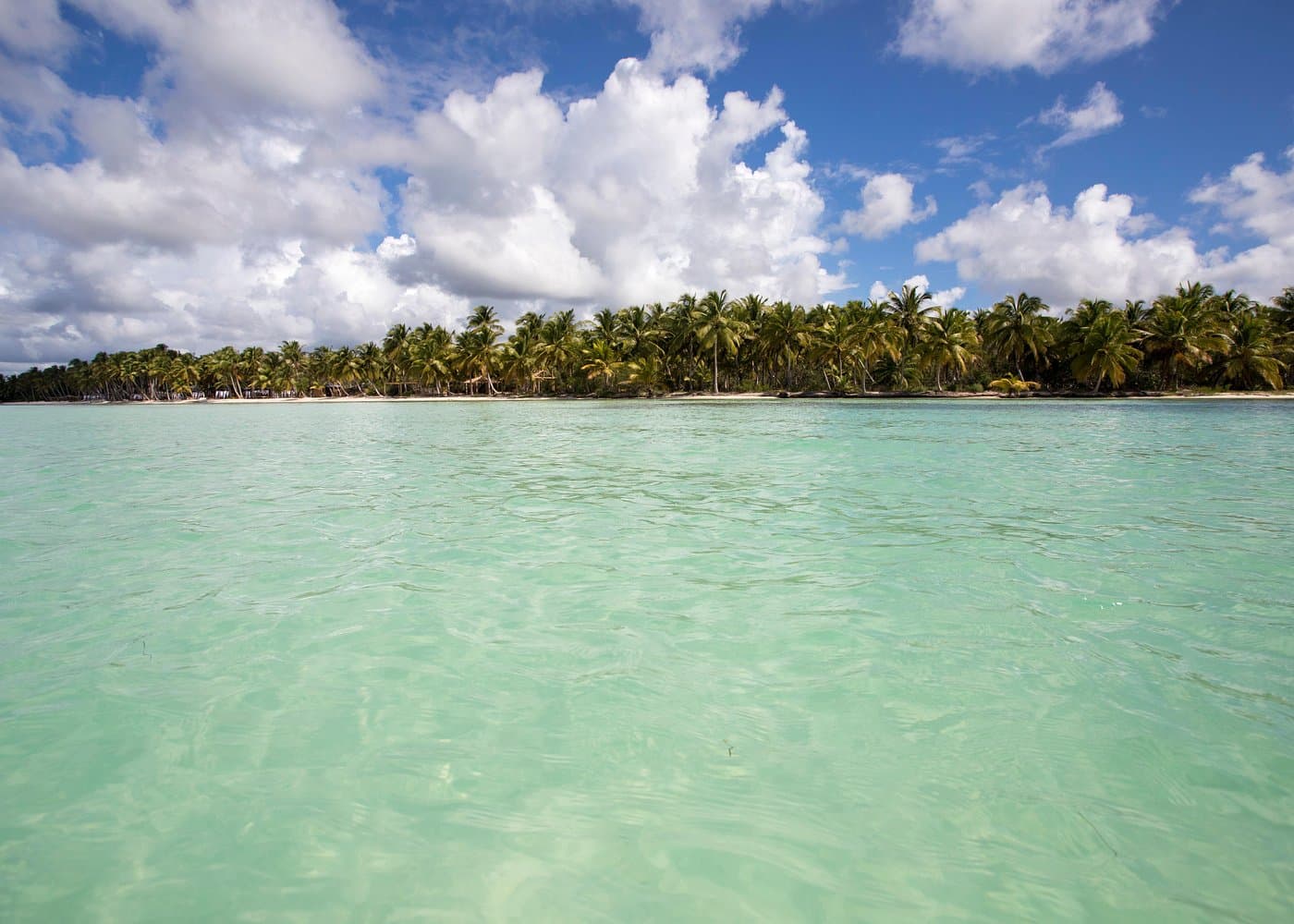 How to Choose a Saona Island Tour Operator