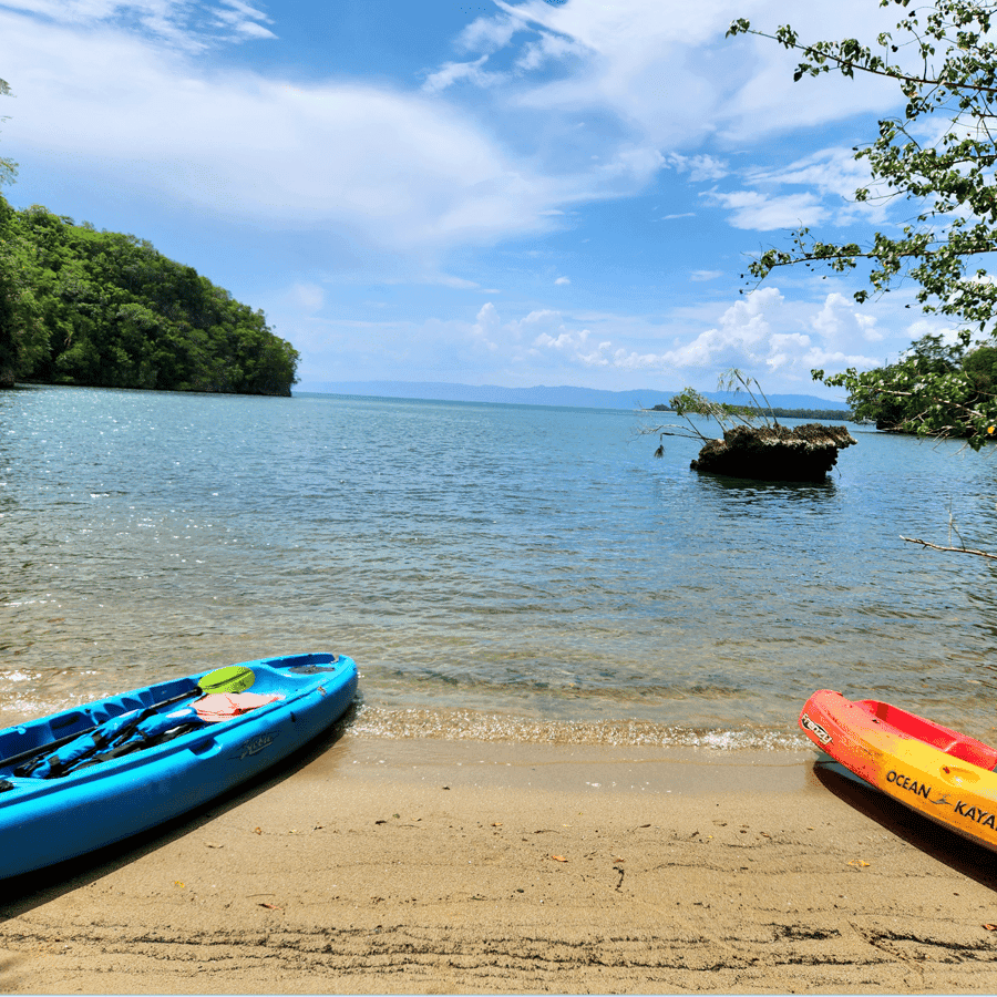 Private 2-Hour Kayaking Tour in Los Haitises National Park — Guided tour and outdoor activity