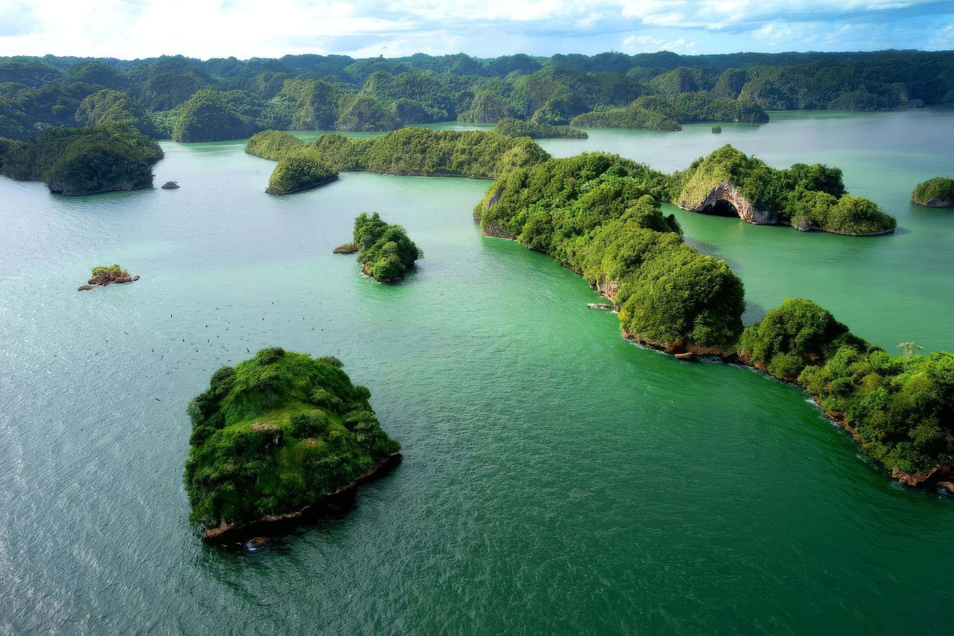 TOP LOS HAITISES TOURS (LIENS DE RÉSERVATION INCLUS)
