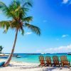 Tour to Saona Island by Catamaran with Lunch, Bar and Transportation Included - Image 3