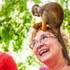 Punta Cana: Monkey Land Half-Day Safari and Plantation - Image 3
