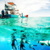 Party Boat + Snorkeling For Small Group Half Day Tour – Image 3