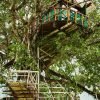 3in1: Los Haitises N P + Yanigua Waterfall + Montaña Redonda - Afbeelding 12