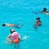 Punta Cana: Catamaran Tour with Open Bar and Reef Snorkeling – Bild 14
