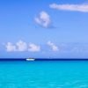 Saona Island Day Trip + Lunch + Open Bar from Punta Cana - Image 14