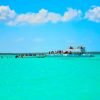 Punta Cana: Catamaran to Saona Island with Lunch & Open Bar – Image 13