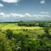 3in1: Los Haitises N P + Yanigua Waterfall + Montaña Redonda - Afbeelding 15