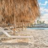 Punta Cana: El Dorado Water Park Entry with Hotel Transfers - immagine 15