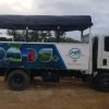 From Punta Cana: Whale Watching and Montana Redonda Tour – Image 2