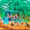 Visita, excursão,