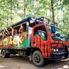 From Punta Cana: Higüey Guided Safari Tour - Afbeelding 3