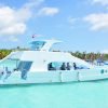 Saona Island: Beaches and Natural Pool Cruise with Lunch – Image 4