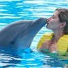 Punta Cana: Swim with Dolphins in the Pool – Image 4