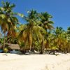 Experience Saona Island from Punta Cana - Afbeelding 3