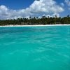 Saona Island - Paradise in the Caribbean - Image 4