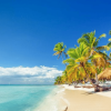 Saona Island Full-Day with Pickup in your Hotel Punta Cana - immagine 4