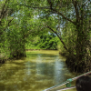 Los Haitises Boat Ride + Caño Hondo Natural Pools – Bild 4