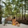 3in1: Los Haitises N. Park + Waterfalls + Montaña Redonda - Afbeelding 3