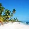 Saona Island: Beaches and Natural Pool Cruise with Lunch – Image 2