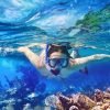 Punta Cana: Saona Island Day Trip with Lunch and Drinks - Image 5