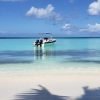 Punta Cana: Saona Island Full-Day Small Groups Tour - Afbeelding 5
