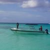 Saona Island: 6 Hour Private Tour with Snorkeling - Image 4