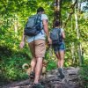 Los Haitises: Boat Tour Sabana de la mar, Caves & Mangroves - immagine 2