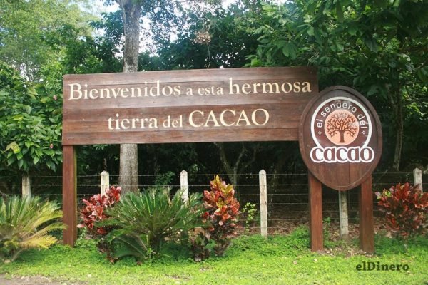 Cocoa Trail & Making of Chocolate Tour from Santo Domingo