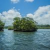 3in1: Los Haitises N P + Yanigua Waterfall + Montaña Redonda - Afbeelding 34