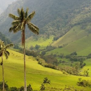 Punta Cana: Wycieczka piesza w góry Anamaya z degustacją