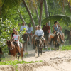 From Punta Cana: Samana Cayo Levantado / Whales - obrazek 6