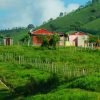 From Punta Cana: Higüey Guided Safari Tour - Afbeelding 5