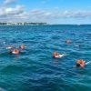 Saona Island Tour From Santo Domingo with Lunch and Pickup - Image 6