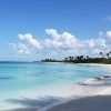 Punta Cana: Saona Island Full-Day Small Groups Tour - Afbeelding 6