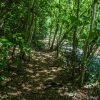 3in1: Los Haitises N P + Yanigua Waterfall + Montaña Redonda - Afbeelding 42