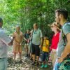 3in1: Los Haitises N P + Yanigua Waterfall + Montaña Redonda - Afbeelding 43