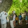 3in1: Los Haitises N P + Yanigua Waterfall + Montaña Redonda - Afbeelding 44
