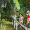 3in1: Los Haitises N P + Yanigua Waterfall + Montaña Redonda - Afbeelding 47