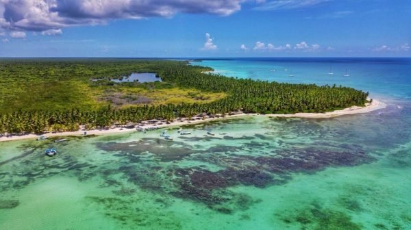 Kokopäiväristeily Isla Saonan saarella Santo Domingosta lounaalla