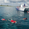 Saona Island Full-Day Tour with Lunch from Punta Cana - Afbeelding 7