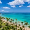 Saona Island: Beaches and Natural Pool Cruise with Lunch – Image 10