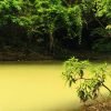 Punta Cana: Anamaya Mountains Walking Tour with Tasting – Bild 7
