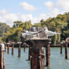 Los Haitises Boat Ride + Caño Hondo Natural Pools – Bild 7