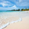 Punta Cana: Isla Saona Day Trip with Catamaran Party - Afbeelding 7