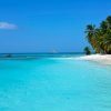Punta Cana: Catamaran to Saona Island with Lunch & Open Bar – Image 5