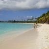Saona Island: 6 Hour Private Tour with Snorkeling - Image 7
