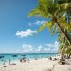 Punta Cana: Boat Tour to Isla Saona, Open Bar & Buffet Lunch - immagine 8