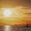 Los Haitises: Sunrise or Sunset wildlife focus - immagine 13
